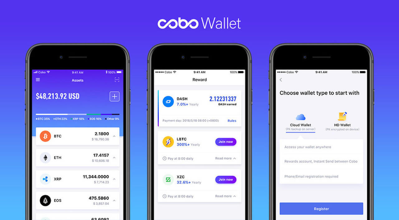 Cobo raises $13 million, eyes global expansion - Coin Rivet