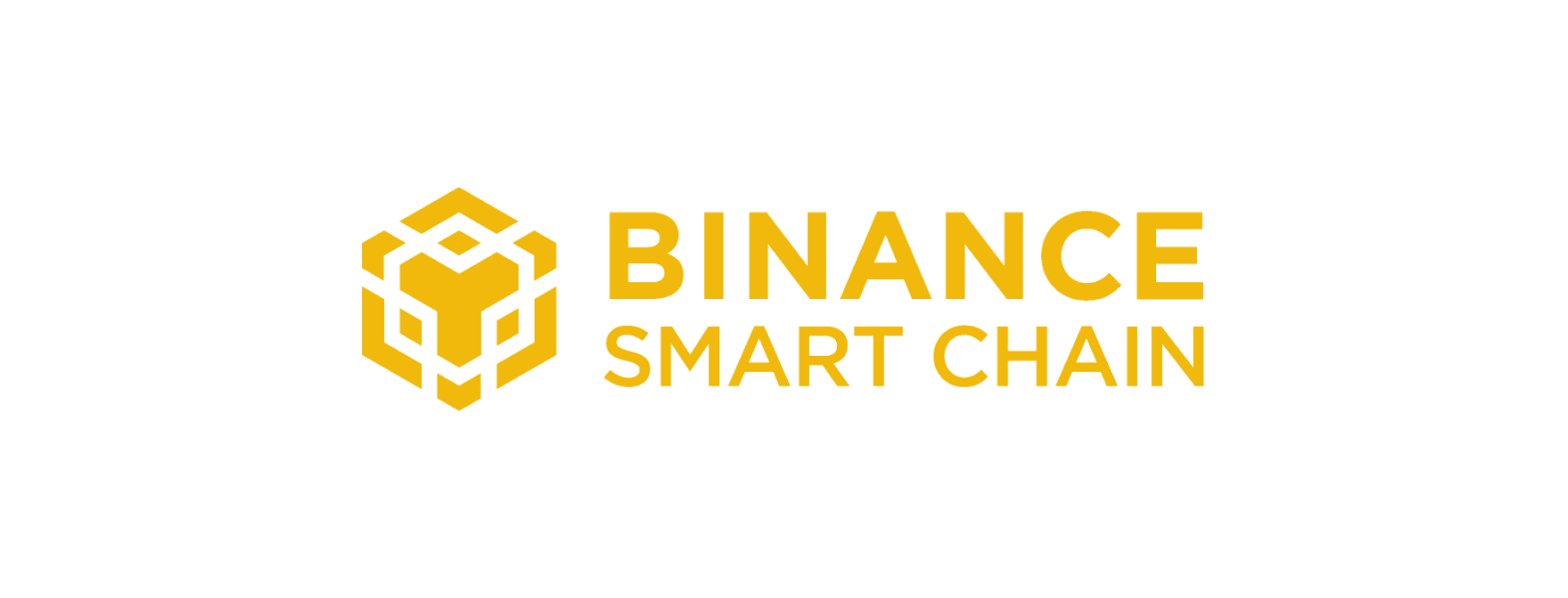 what-is-binance-smart-chain-coin-rivet