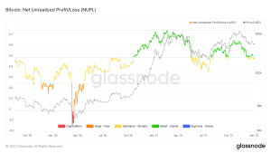 Bitcoin Net Unrealised Profit Loss NUPL BTC On-chain analysis coin rivet