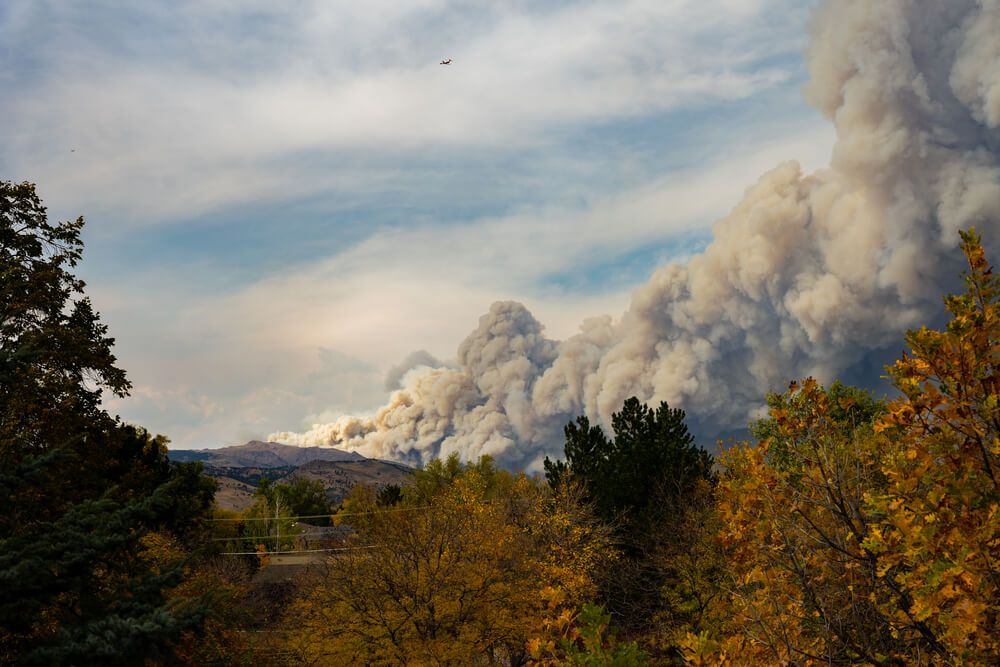 ENT NFT Colorado wildfires Coin Rivet